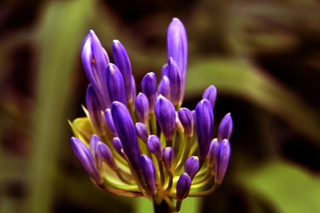 2025欧洲金童奖颁奖典礼：杜埃获得2025年金童奖