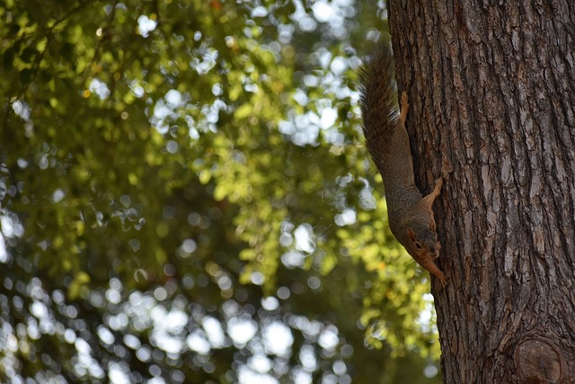 让粉丝们为 让粉丝们为