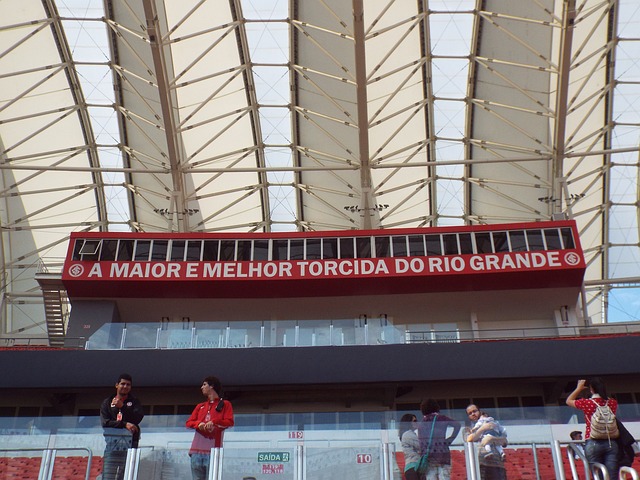 卫的受伤 卫的受伤