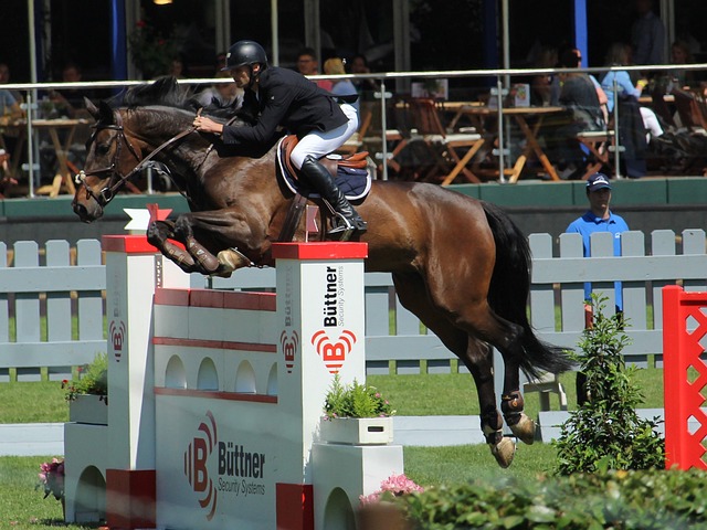 攻击性的策 攻击性的策