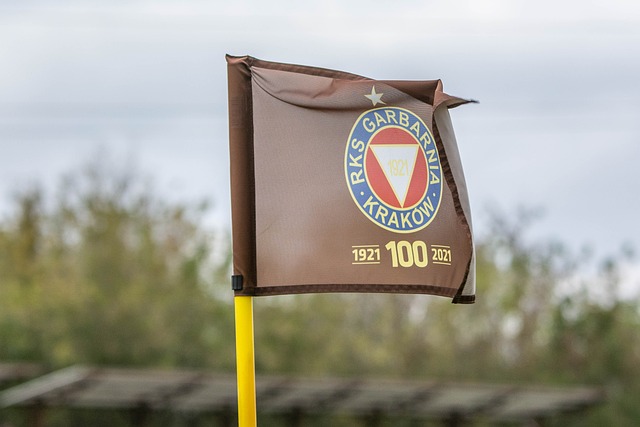 鋒基利安 鋒基利安