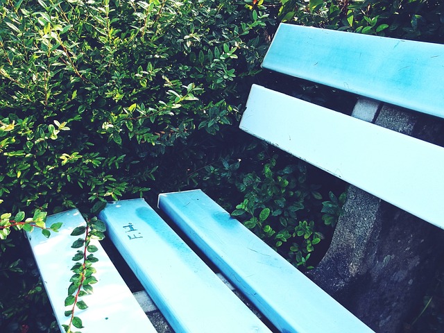 惊人的成功 惊人的成功