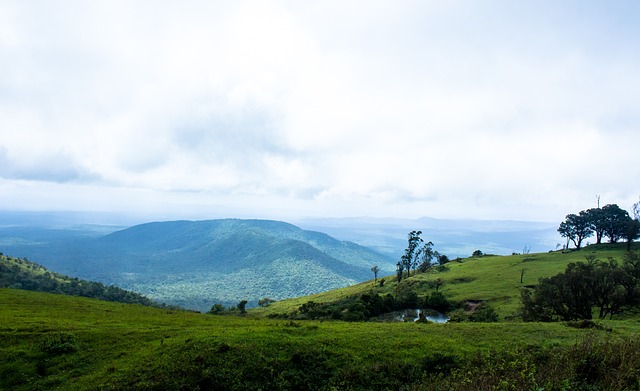 意味着他的 意味着他的