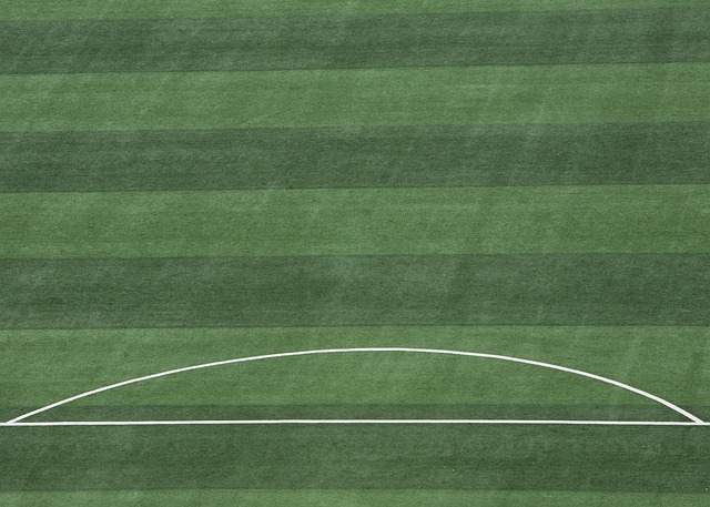 引进克罗斯 引进克罗斯