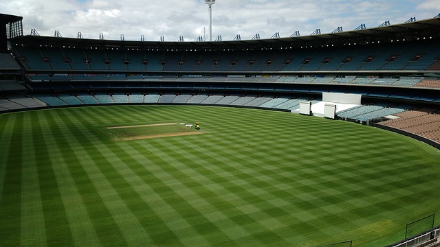 更激发了全 更激发了全