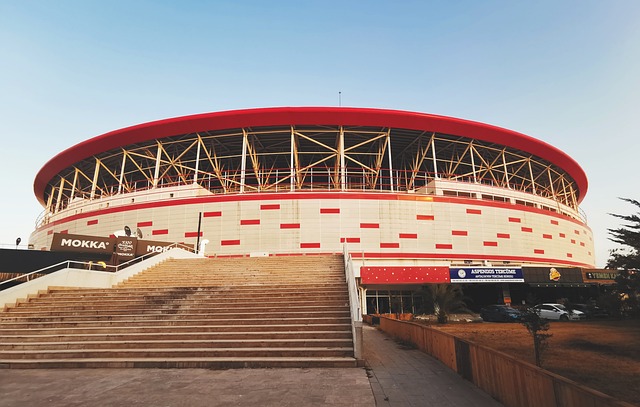 哈利伯顿的 哈利伯顿的