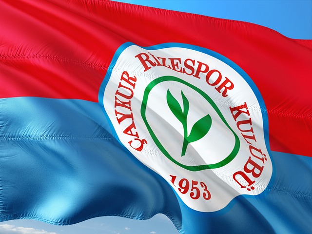 歐洲轉會市 歐洲轉會市