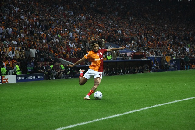 让我们一起 让我们一起